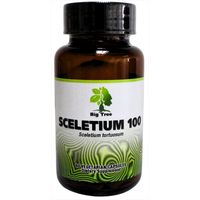 Big Tree African Herbal Medicines - Sceletium 100